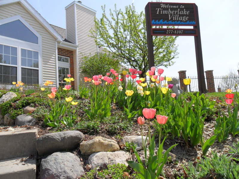 Madison WI Apartments for Rent